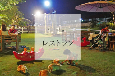 【ファミリー向け】うさぎいっぱいのファームレストランは子ども連れでいっぱい|Fin Farm