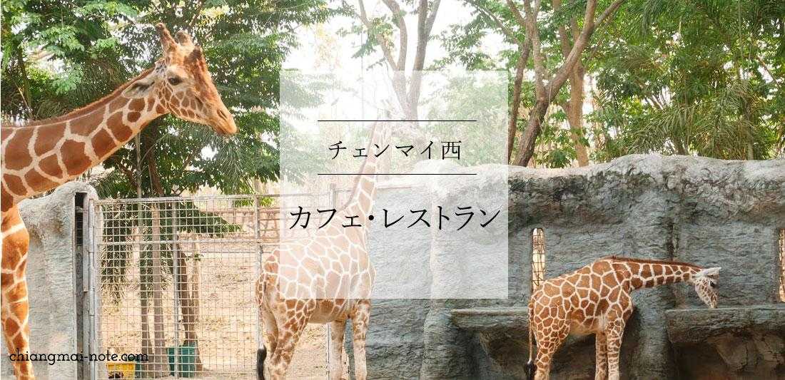 ナイトサファリ をお得に楽しむ裏技を解説します 子連れチェンマイ Chiang Mai