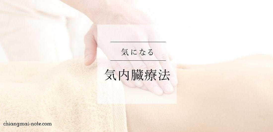 [状態良好]　気内臓療法　チ•ネイ•ザン 気内臓療法 Chi Nei Tsang チネイザン