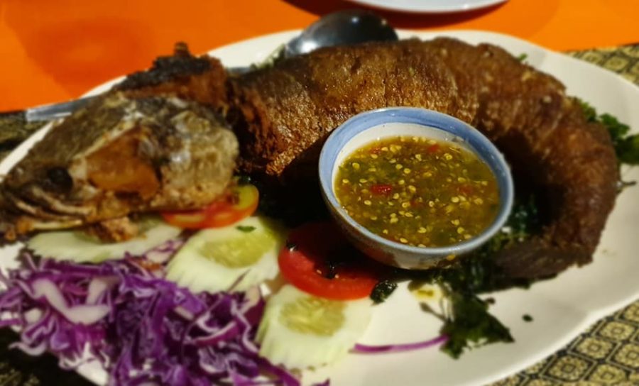 ミシュランガイド2020年版|チェンマイの17店を完全ガイドします